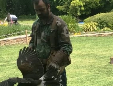Οταν η Αστυνομία χρησιμοποιεί γεράκια για να καταρρίπτει drones (φωτό)